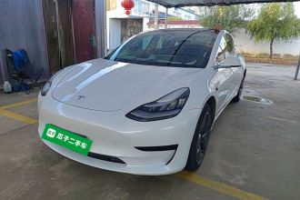 特斯拉 Model 3 2019款 标准续航后驱升级版