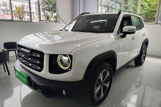 哈弗大狗 2021款 1.5T DCT两驱拉布拉多版