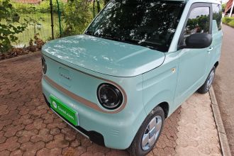吉利银河 2023款 熊猫mini 120km 超萌熊
