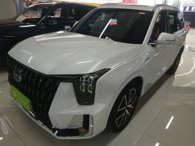 广汽传祺 传祺ES9 2024款 PHEV 143km Max