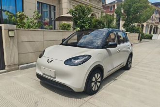五菱汽车 五菱缤果 2024款 333km 悦享款