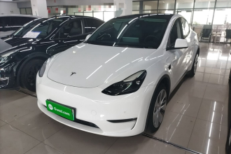 特斯拉 Model Y 2021款 标准续航后驱版