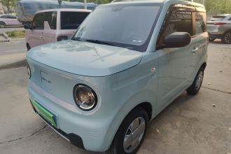 吉利银河 2024款 熊猫mini 200km 耐力熊