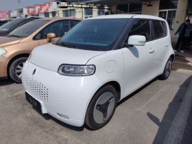 欧拉白猫 2020款 360km 标准型