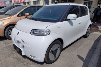 欧拉白猫 2020款 360km 标准型