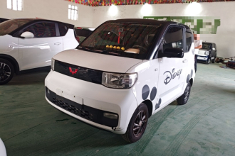 五菱汽车 宏光MINIEV 2020款 悦享款 磷酸铁锂