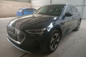 奥迪e-tron(进口) 2021款 Sportback 55 quattro 豪华型