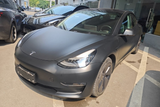 特斯拉 Model 3(进口) 2019款 长续航全轮驱动版