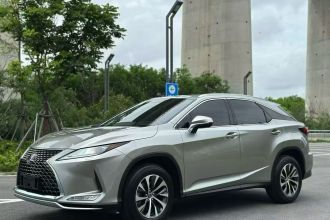 雷克萨斯RX 2020款 改款 300 两驱精英版
