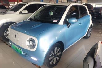 欧拉黑猫 2021款 351km 标准型