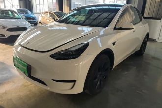 特斯拉 Model Y 2024款 后轮驱动版