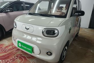 五菱汽车 宏光MINIEV 2024款 第三代 215km 青春版