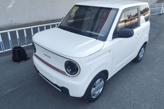 吉利银河 2024款 熊猫mini 200km 耐力熊