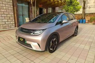 比亚迪 海豚 2021款 405km 自由版