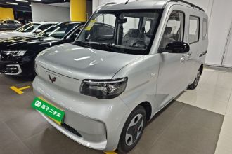 五菱汽车 五菱之光新能源 2025款 305km 进取型