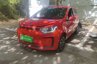 思皓 花仙子 2021款 150km 基本型