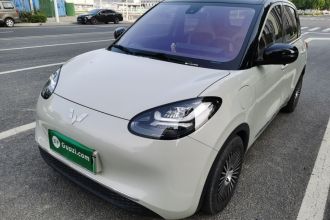 五菱汽车 五菱缤果 2023款 333km 悦享+款