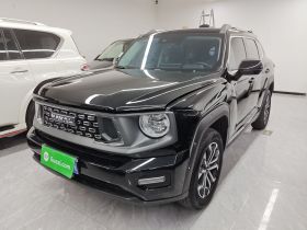 哈弗大狗 PLUS 2023款 2.0T 两驱潮野版Plus