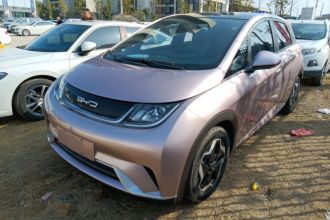 比亚迪 海豚 2021款 405km 时尚版