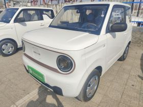 吉利银河 2024款 熊猫mini 200km 耐力熊