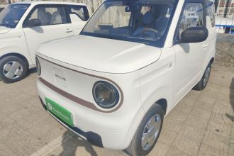 吉利银河 2024款 熊猫mini 200km 耐力熊