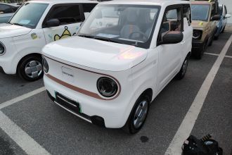 吉利银河 2024款 熊猫mini 200km 耐力熊