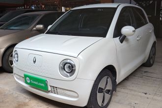 欧拉黑猫 2019款 301km 标准版