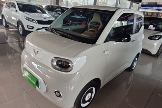五菱汽车 宏光MINIEV 2024款 第三代 215km 青春版