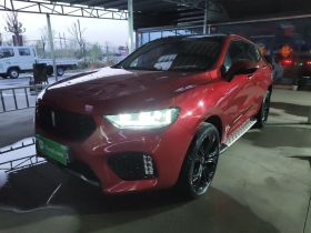 魏牌 VV5 2019款 升级款 2.0T 两驱旗舰型 国V