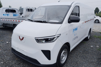 五菱汽车 五菱扬光 2024款 300km 实用型封窗版 75kW
