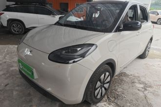 五菱汽车 五菱缤果 2023款 333km 灵犀互联+款
