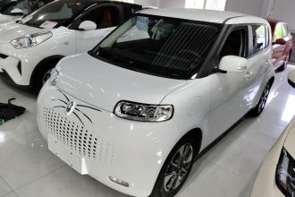 欧拉白猫 2022款 升级版 305km 豪华型 三元锂