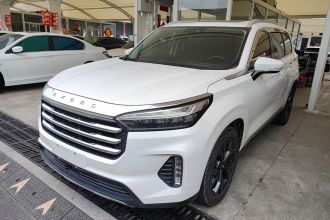 星途揽月 2021款 390T 两驱星耀版