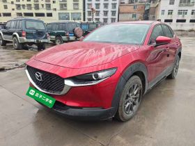 马自达CX-30 2020款 2.0L 自动质悦型