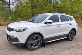 猎豹汽车 猎豹CS10 2015款 2.0T 手动风尚型