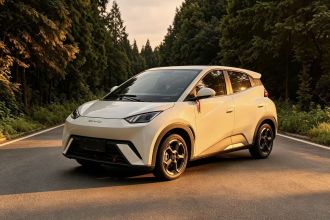 比亚迪 海鸥 2024款 荣耀版 305km 自由版