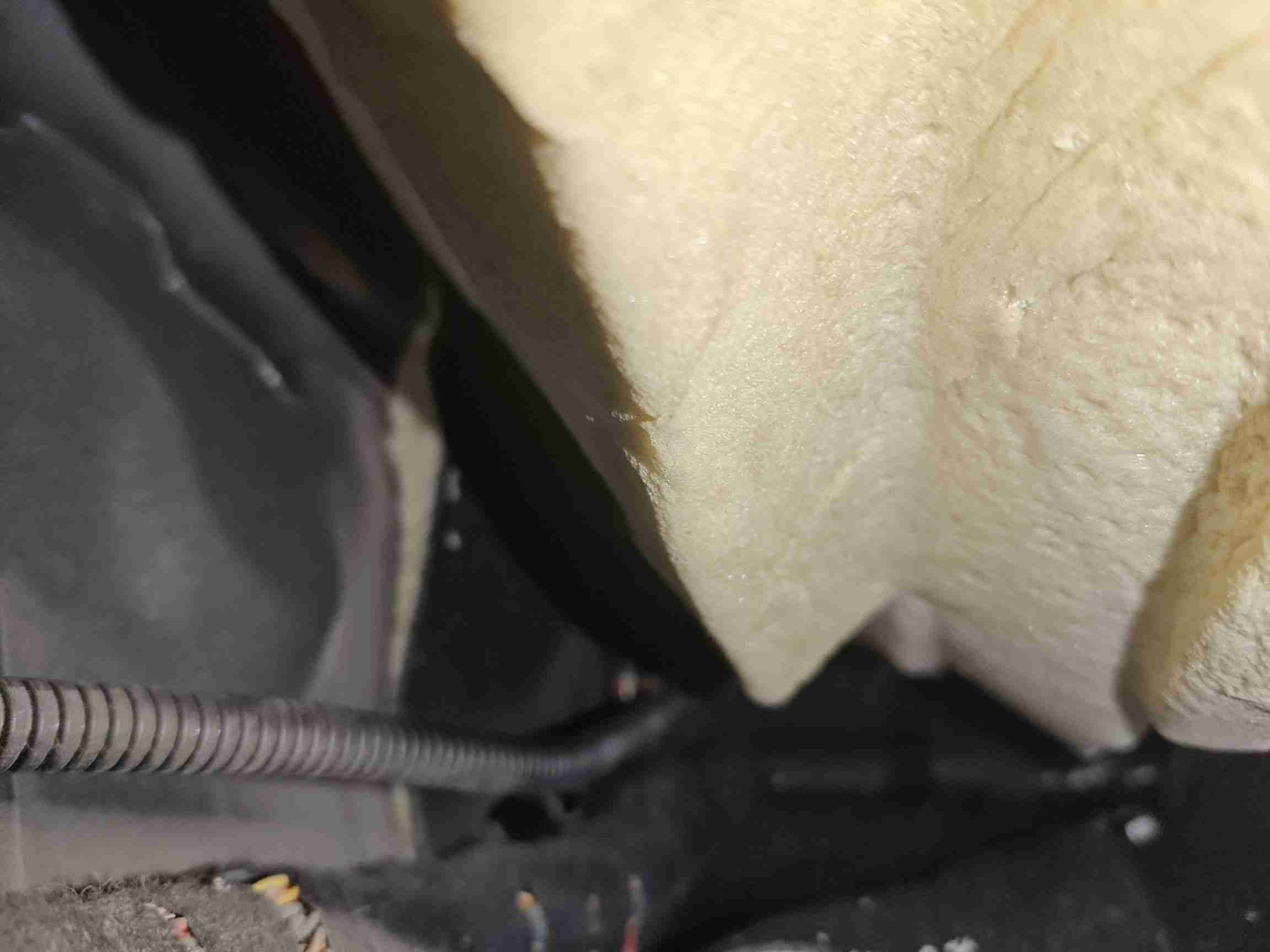 左前地毯霉斑痕迹实拍