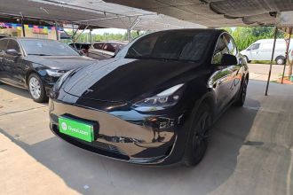 特斯拉 Model Y 2023款 后轮驱动版