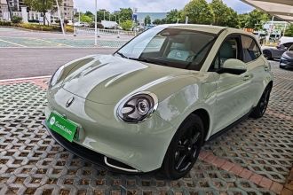 欧拉好猫 2024款 401km 豪华型