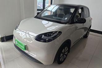 五菱汽车 五菱缤果 2024款 333km 悦享款