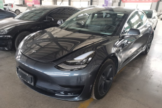 特斯拉 Model 3 2020款 改款 标准续航后驱升级版