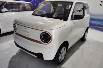 吉利银河 2024款 熊猫mini 200km 耐力熊