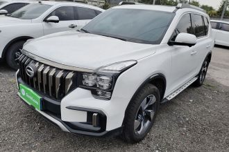 广汽传祺 传祺GS8 2020款 GS8S 390T 两驱豪华智联版