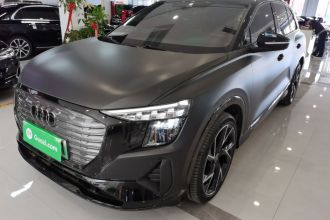 奥迪Q5 e-tron 2022款 50 e-tron quattro edition one 艺创典藏版