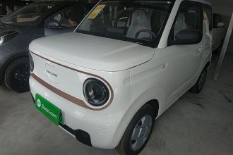 吉利银河 2024款 熊猫mini 200km 耐力熊