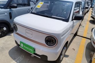 吉利银河 2024款 熊猫mini 200km 耐力熊