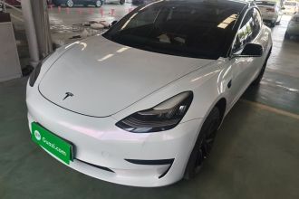 特斯拉 Model 3 2019款 标准续航后驱升级版