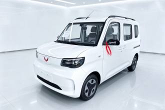 五菱汽车 五菱之光新能源 2025款 305km 进取型