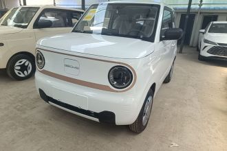 吉利银河 2024款 熊猫mini 200km 耐力熊
