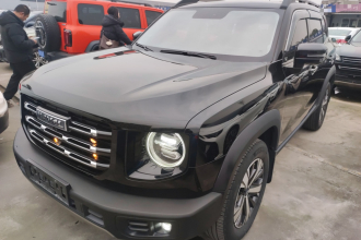 哈弗大狗 2022款 1.5T DCT两驱拉布拉多版